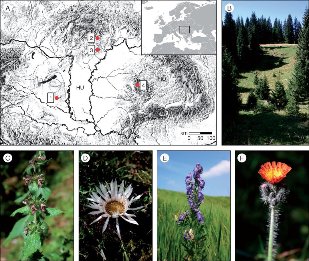 Karstic microrefugia protect cool-adapted plants
