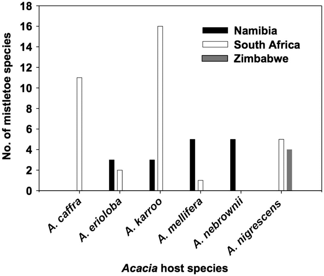 Number of mistletoe species that parasitize the most common Acacia host species in southern Africa.