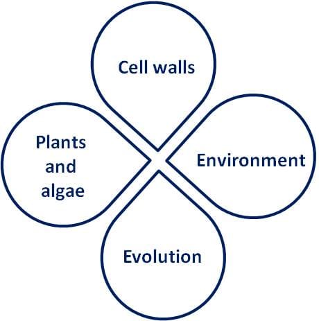 Research inspiration