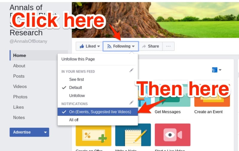 How to set up Facebook alerts