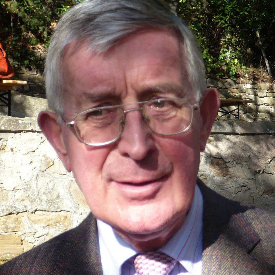 Call for Papers: A Special Issue on Developmental Plant Cell Biology, in honour of Peter Barlow