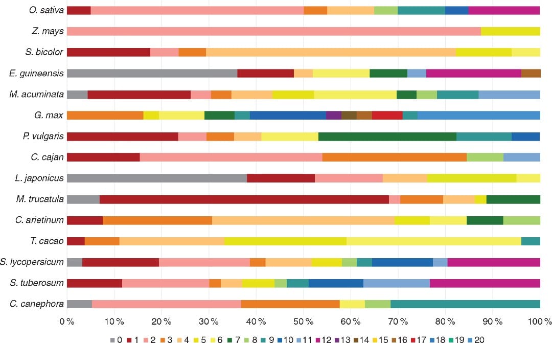 Evolution and structural diversification of Nictaba-like lectin genes in food crops