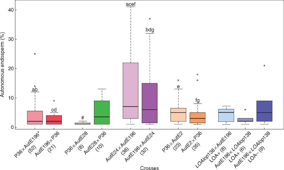 Genetic makeup of autonomous endosperm in Hieracium