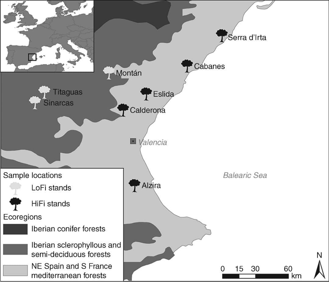 Frequent wildfires modify genetic structure in Pinus halepensis