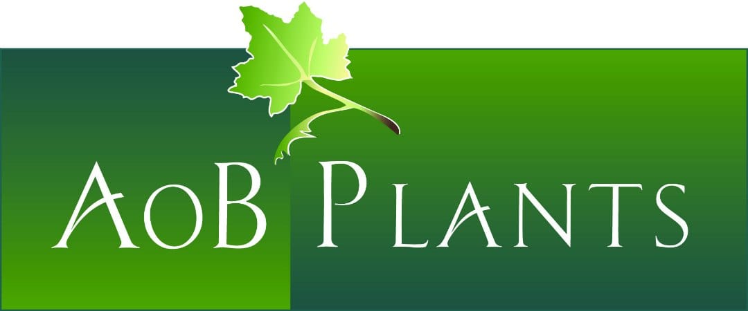 AoB PLANTS  seeks a new Editor-in-Chief