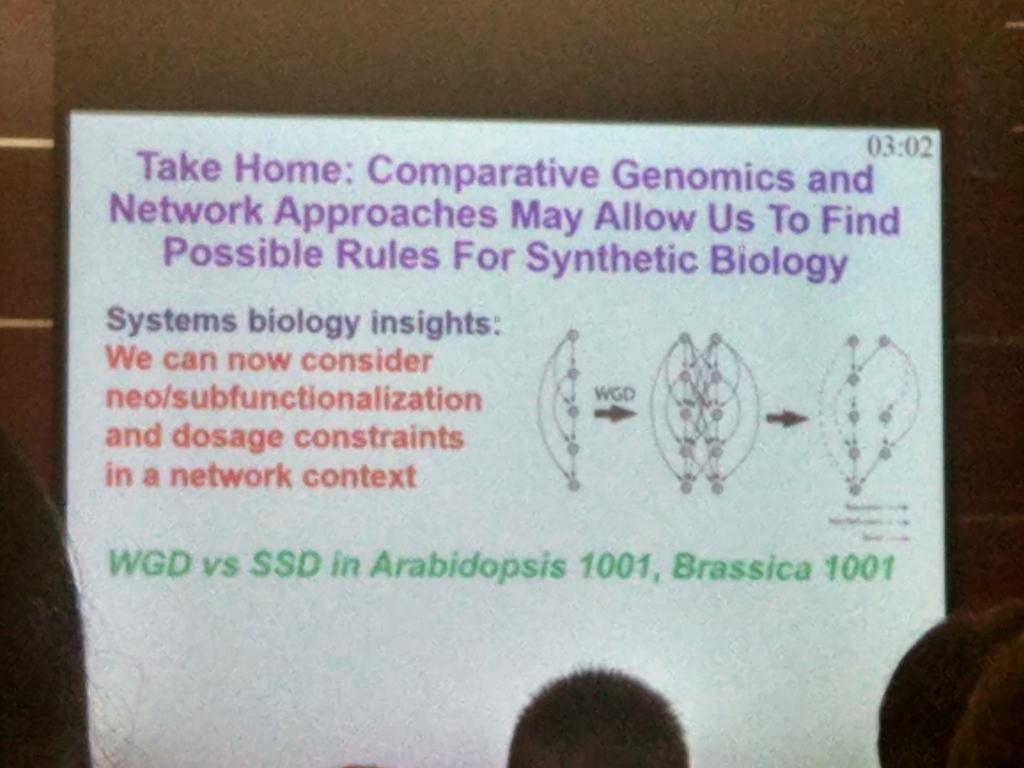 Fundamental understanding of Brassica genome interactions can go into practice for synthetic biology says @JChrisPires