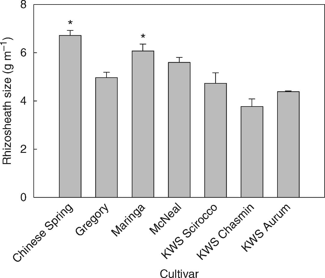 Mapping wheat genes for root hair length in aneuploid lines of bread wheat