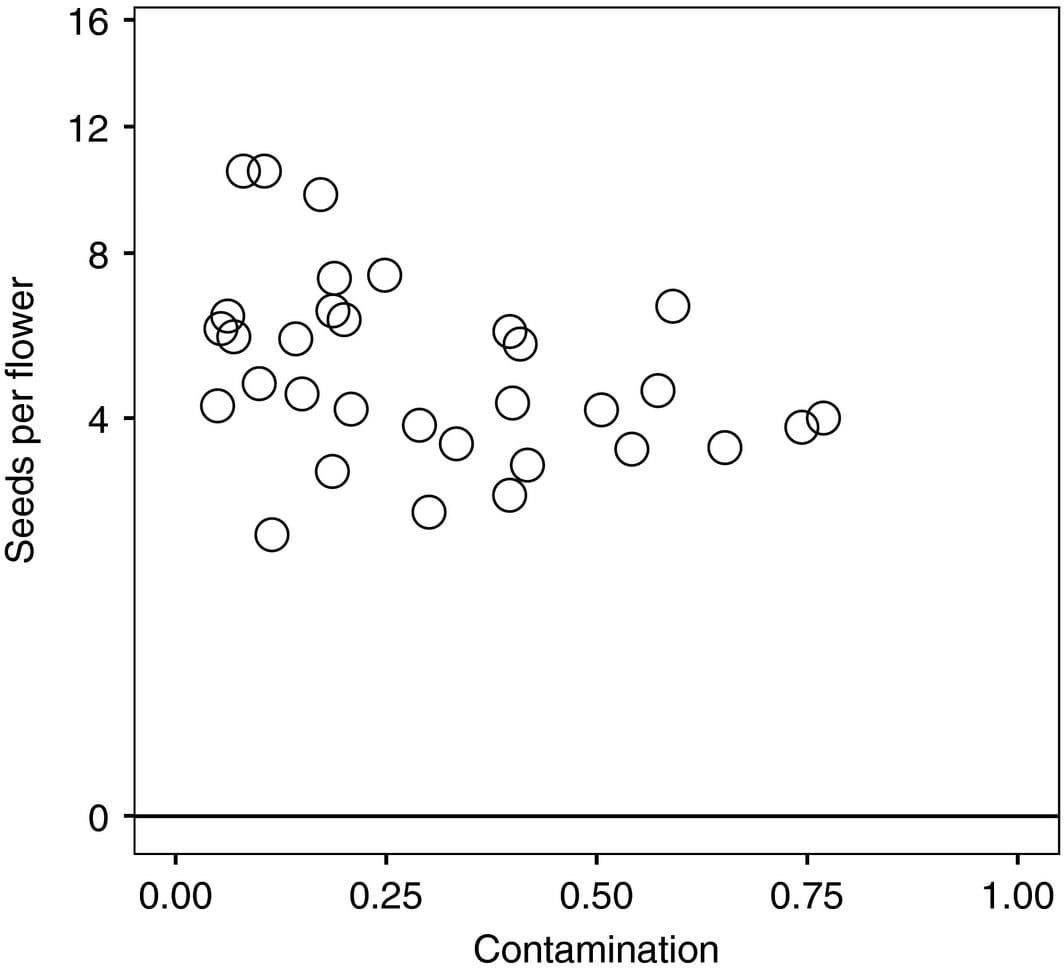 Relationship between contamination of Polemonium stigma pollen loads with Salix pollen and seeds per flower averaged for the plant