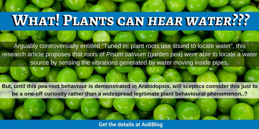 What! Plants can  hear  water???