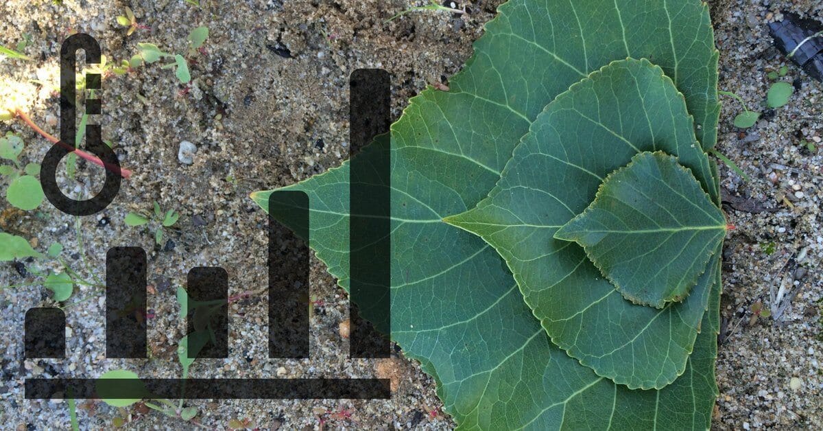 Integrated Poster Session at Bioenergy Genomics 2017