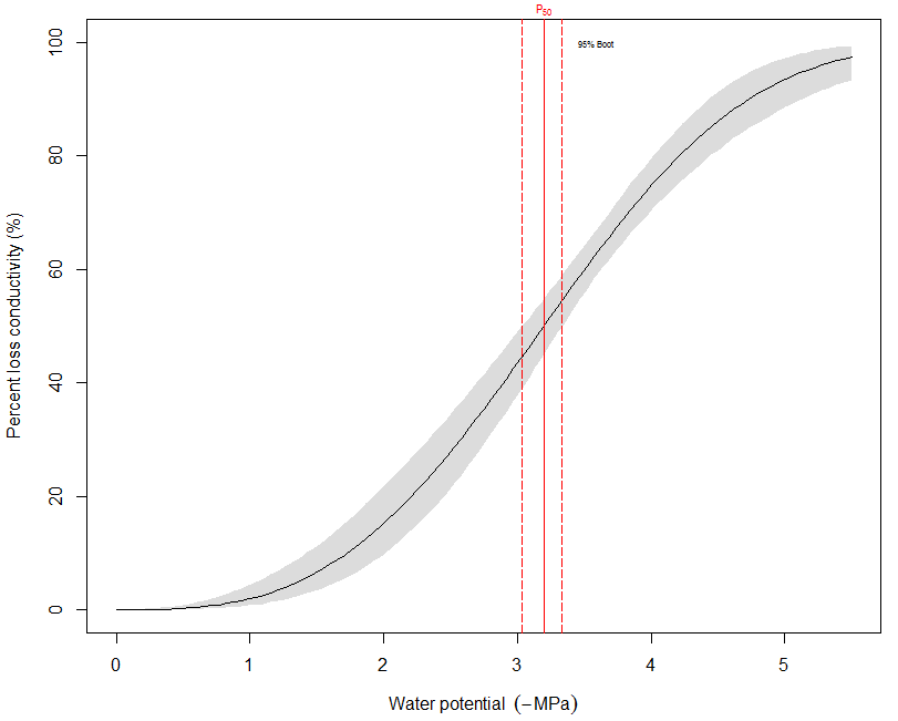 Vulnerability curve for Pinus taeda, Loblolly Pine