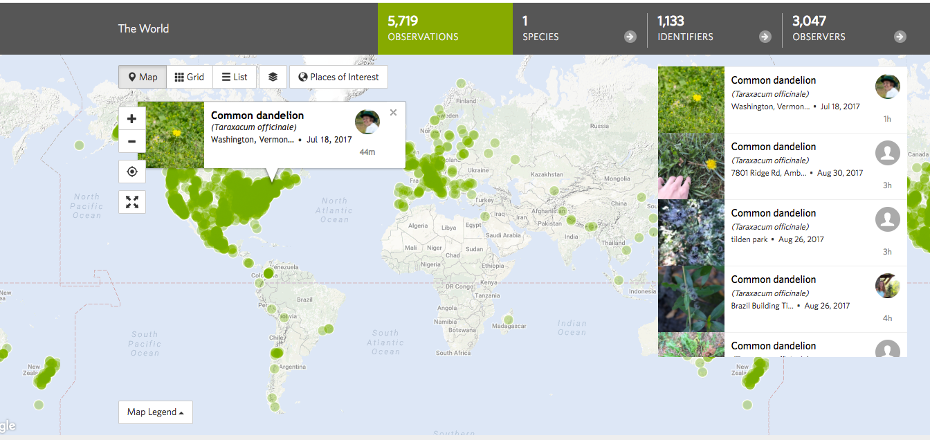 iNaturalist: An App to Ease Plant Blindness