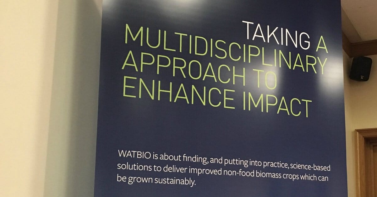 Climate change, land availability and biomass potential.