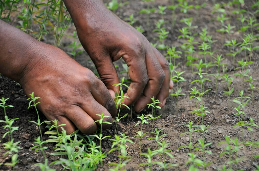 Science, technology and innovation for Africa with the EU-Africa High Level Policy Dialogue stakeholder panel