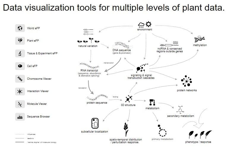 The graphical user interface that greets you on ePlant's home page.