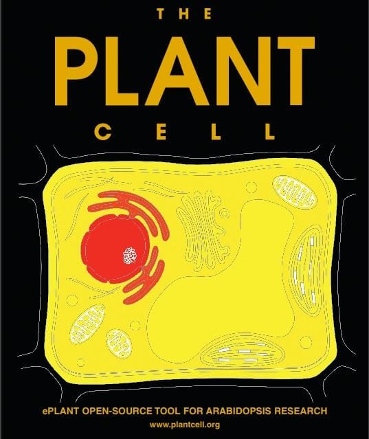 The publication of ePlant was the cover article of August’s The Plant Cell.