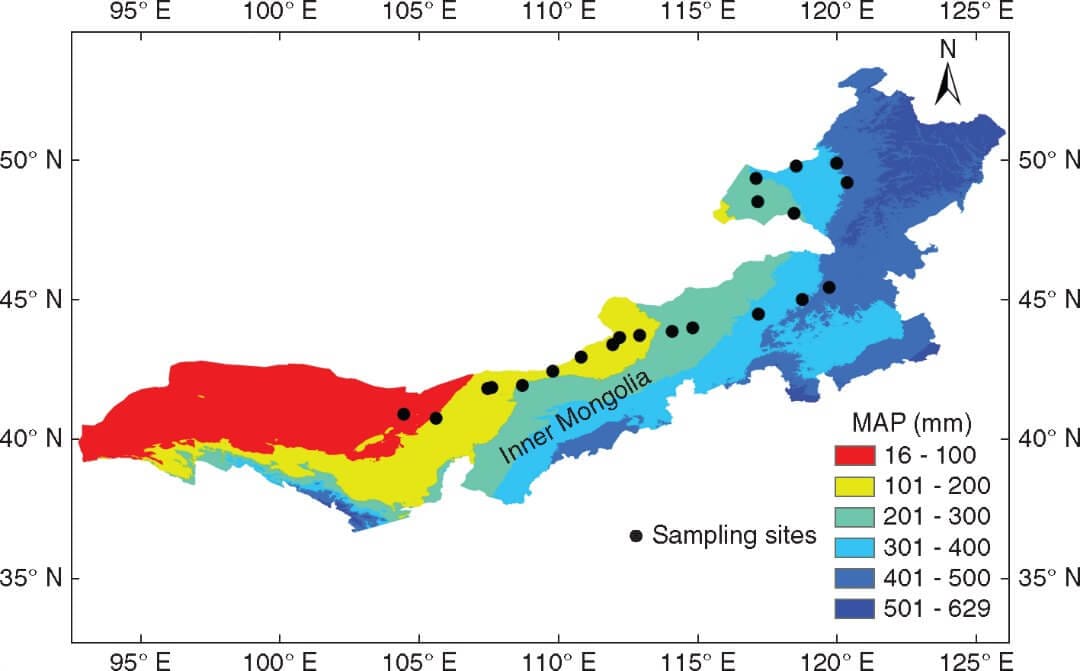 Below-ground bud bank along a climatic gradient in a temperate steppe