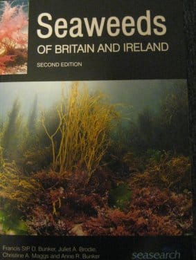 Diving into the neglected world of seaweeds