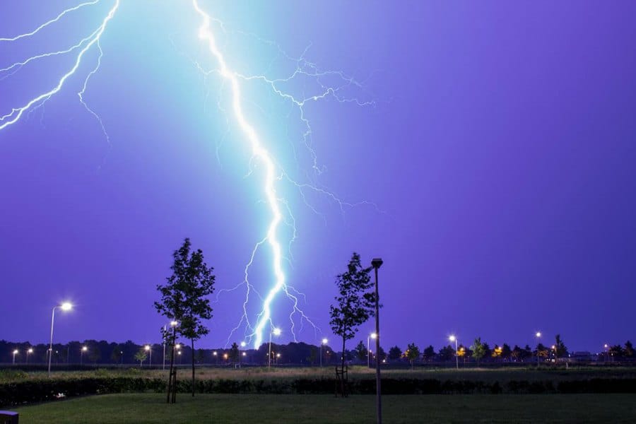 Phytopathological future for plasma