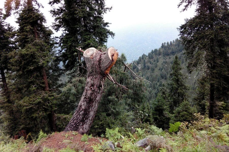 7th International and 16th National Conference on Plant Resources: Current Trends, Challenges and Solutions