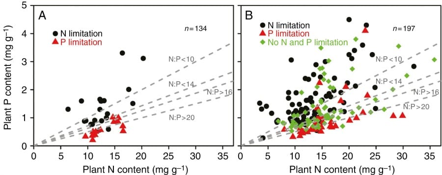 Nitrogen to phosphorus ratio as a threshold for nutrient limitation in plants (Meta-analysis)