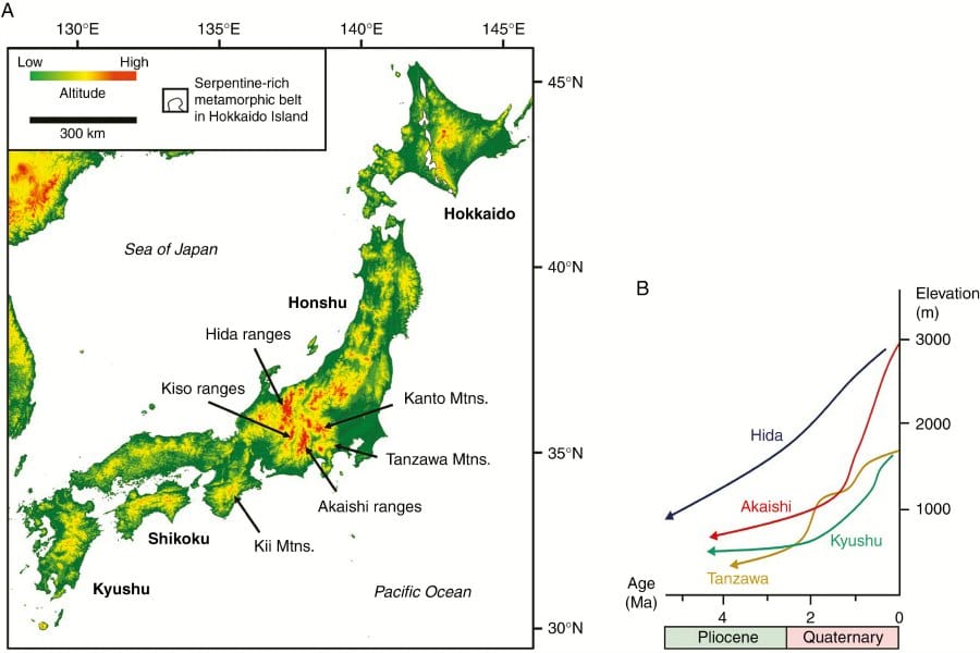 Biogeographic history and climatic niche evolution of Japanese endemic primroses
