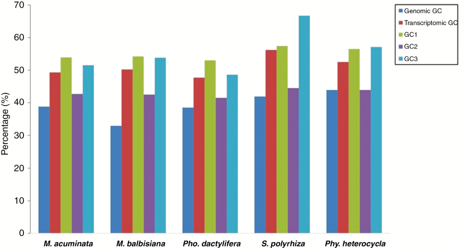Codon usage in non-grass monocots
