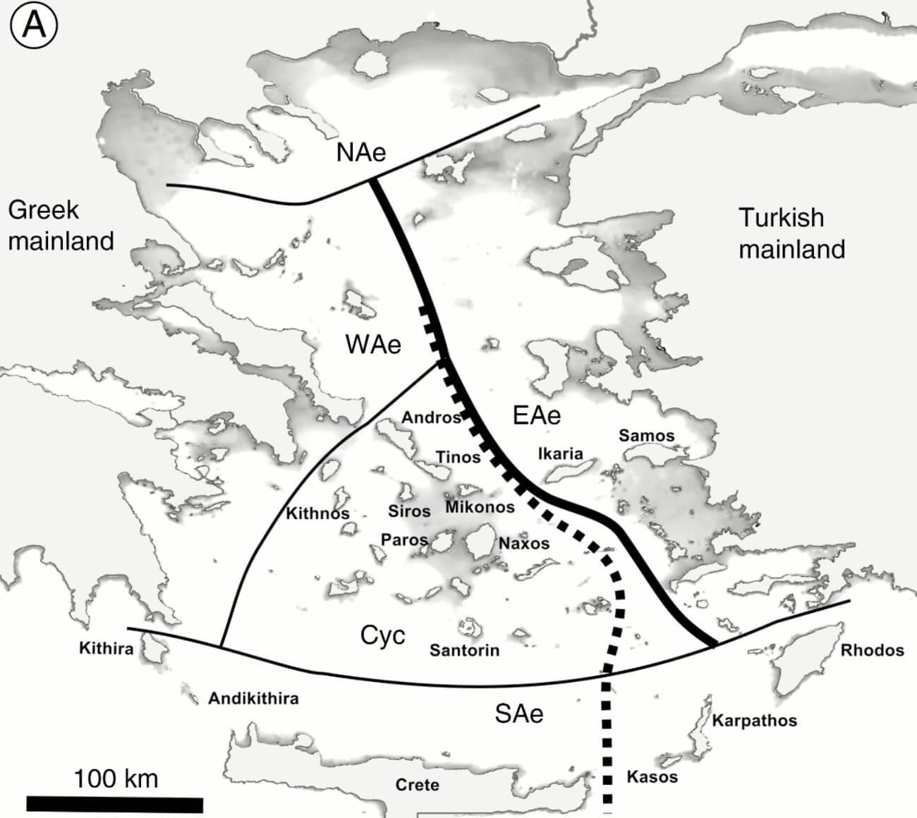 Island fragmentation and colonisation drove diversification of Aegean Nigella
