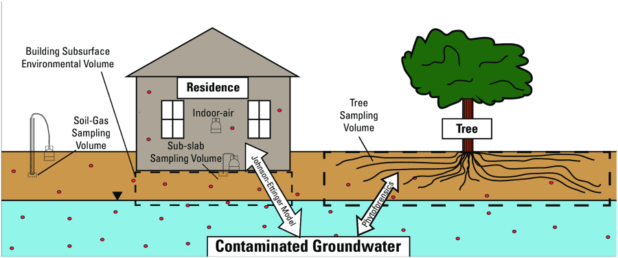 Schematic of the interplay between vapor intrusion, the built environment, and phytoforensic processes.