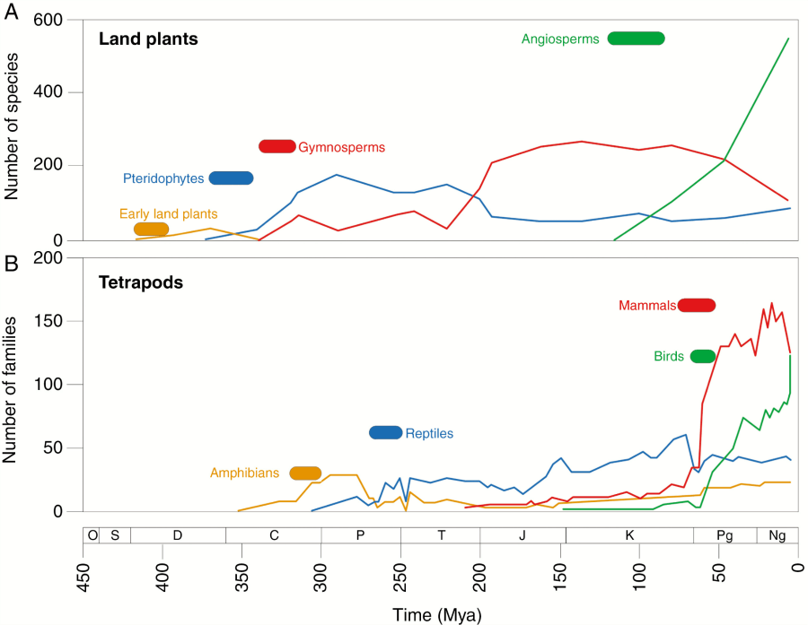 Integrative approaches to understanding angiosperm origins and diversity