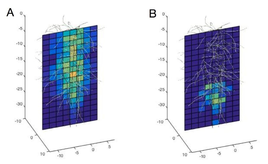 How hard is it to use plant computational models?  Ask our students!