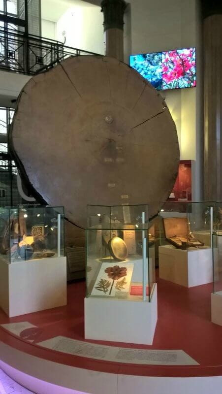 Exhibition in the Botany Building