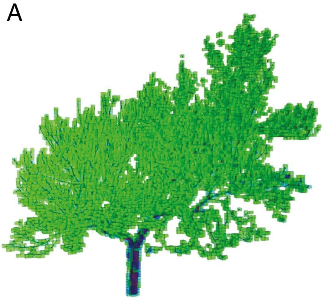 Voxel resolution of 0.1 m