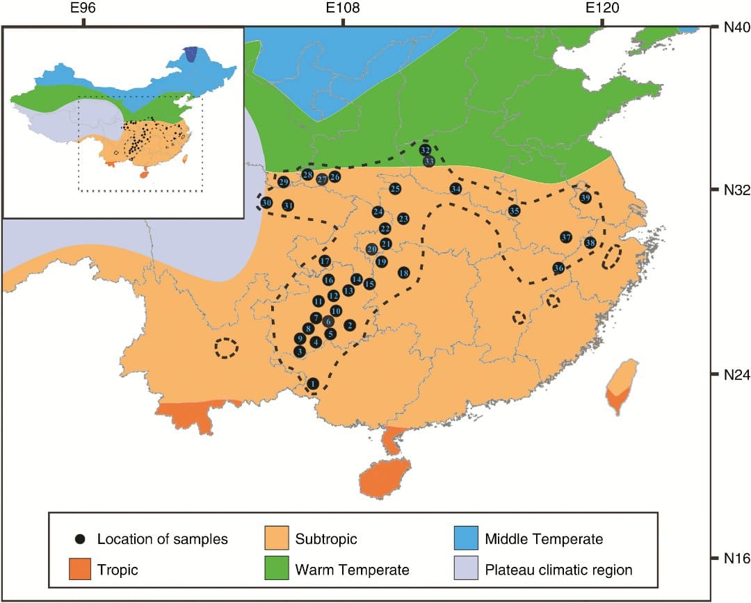 Chinese aspen with a dynamic Quaternary evolutionary history