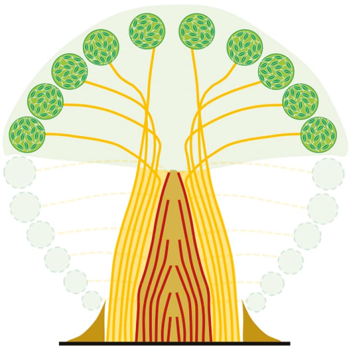 The Pipe Model Theory half a century on