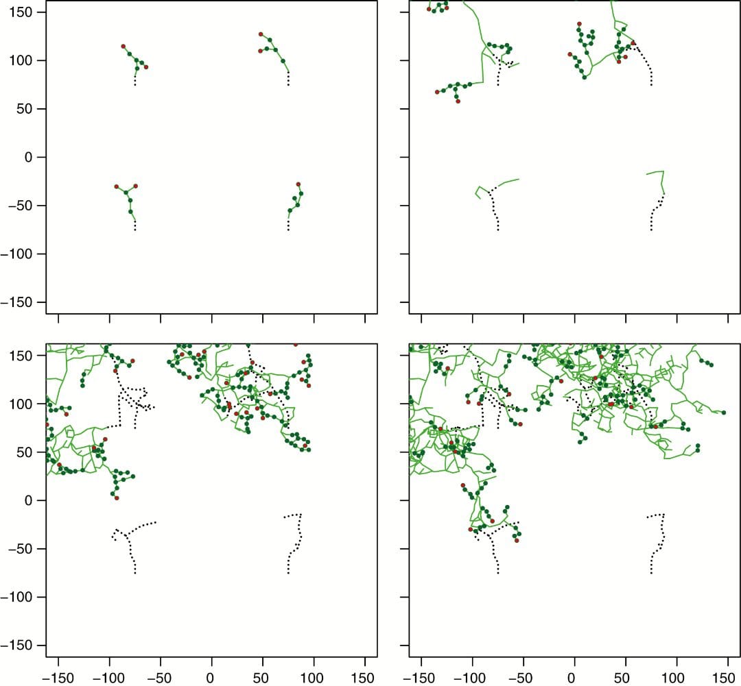 Simulating ephemeral seagrass growth