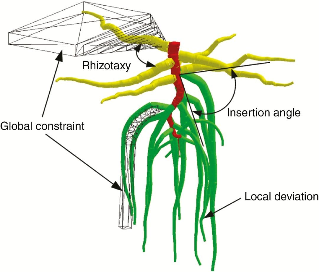 DigR: a generic model and simulator of 3D root-system architecture