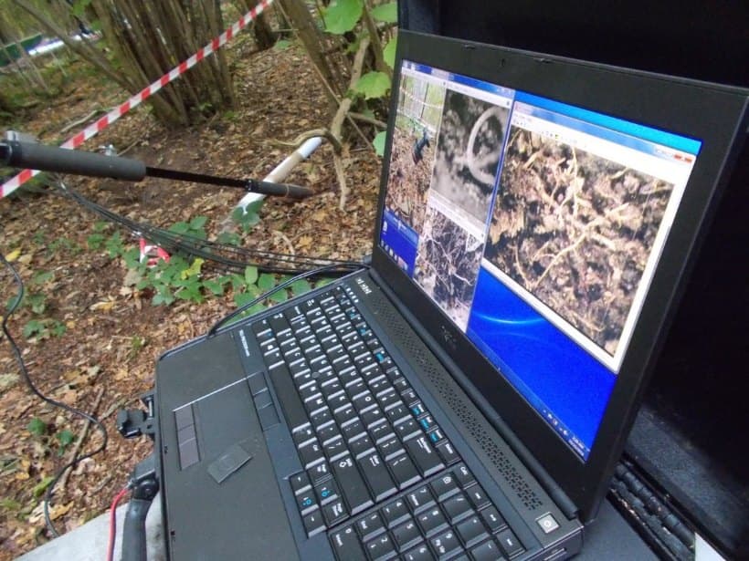 Elevated carbon dioxide: Getting to the root of the problem