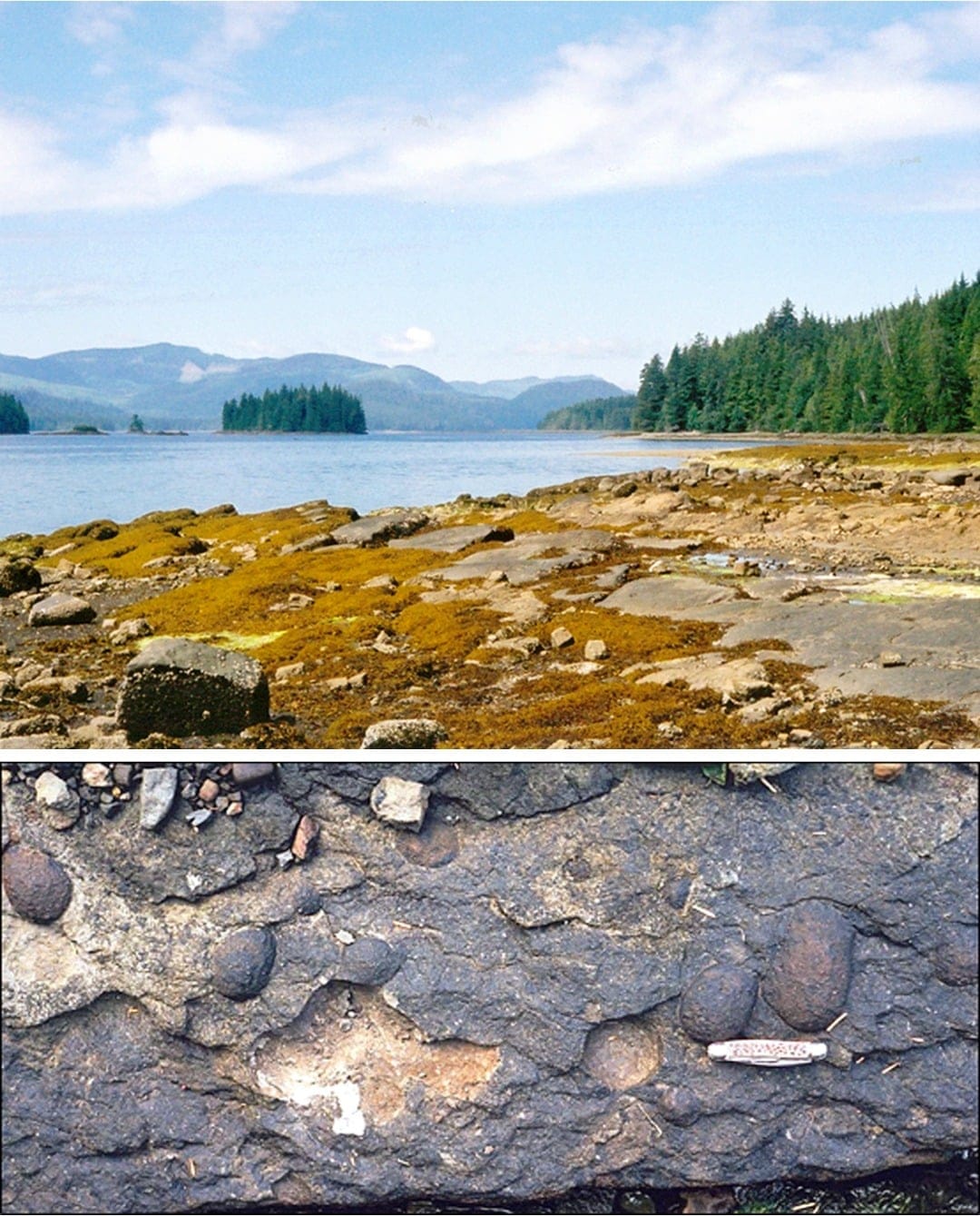 Cretaceous rocks on Vancouver Island (British Columbia)