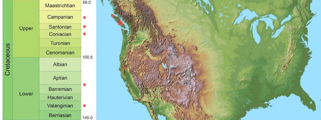 The Cretaceous in North America