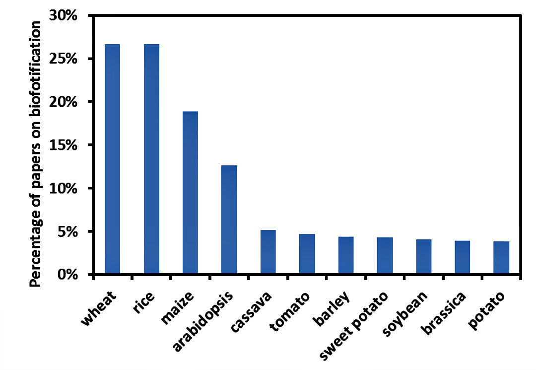 Bar chart emphasising wheat, rice and maize