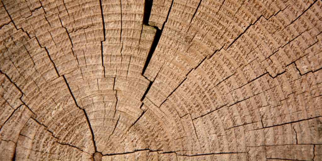 The trouble with travelling tree rings