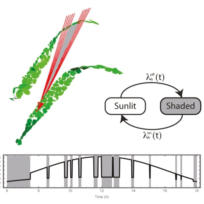 A stochastic model of sunlit-shaded patterns in canopies