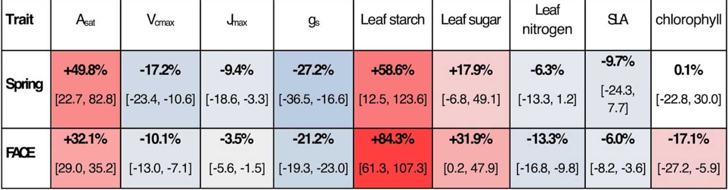 Responses to higher CO2
