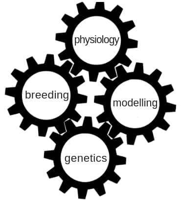 Integrated approach to maximize trait selection