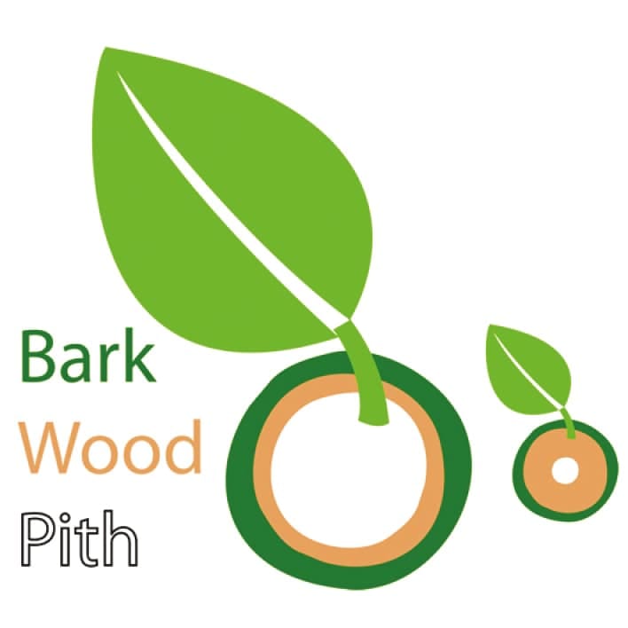 Why large leaved plants have wide piths