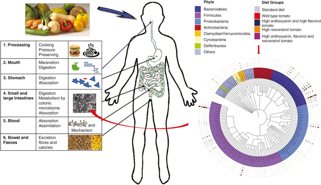 Is there a role for plant science in underpinning the objective of global nutritional security?