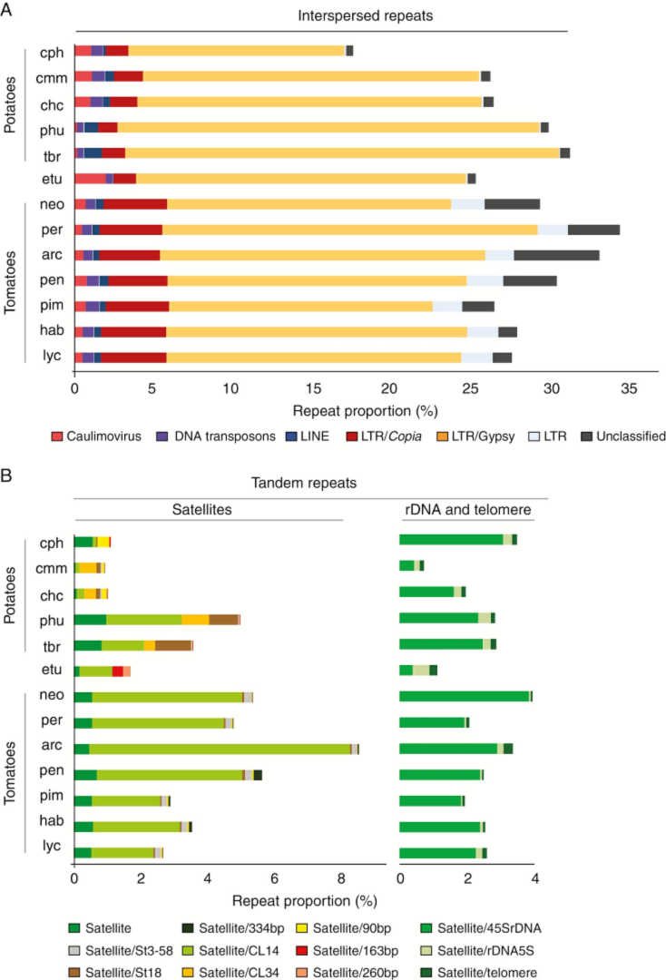 Comparative analysis of repetitive sequences among species from the potato and the tomato clades