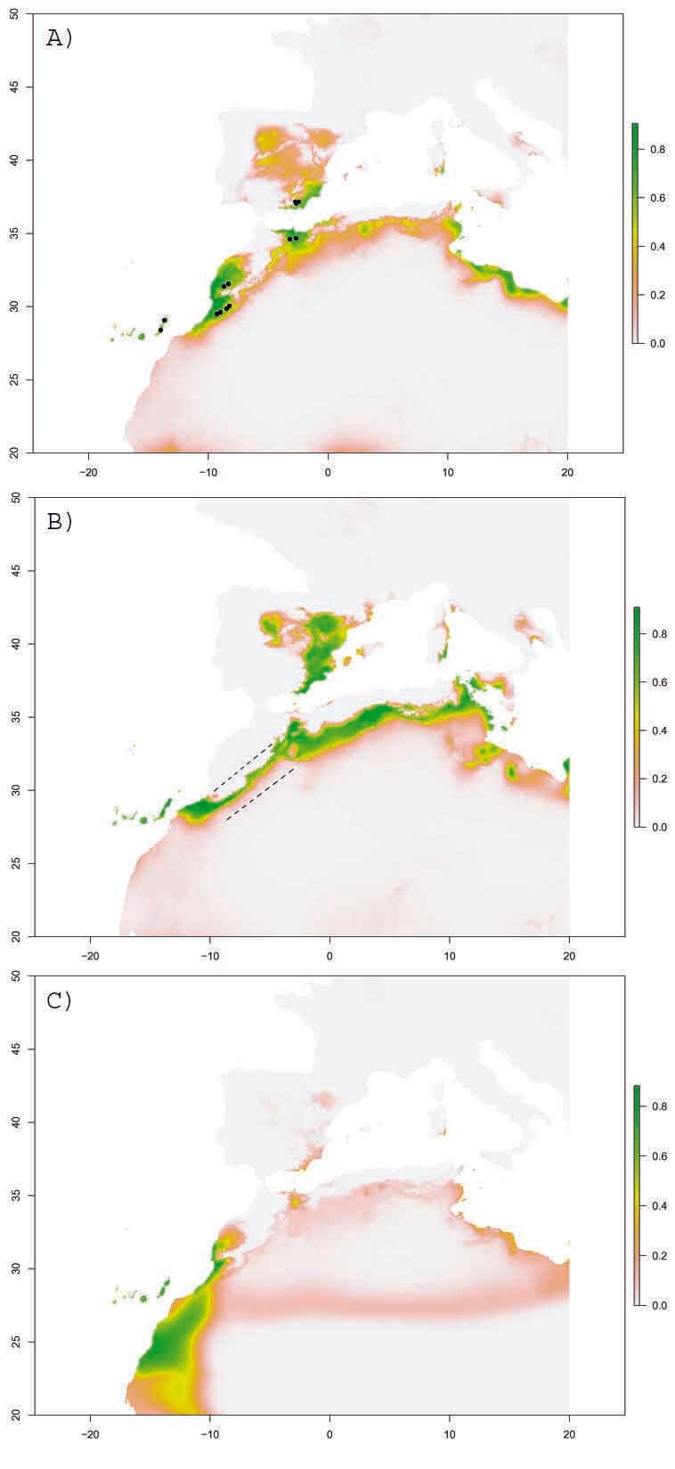 Phylogeography of an Endangered Disjunct Herb: Long-distance Dispersal, Refugia, and Colonization Routes
