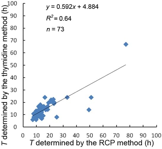 Cell cycle duration in the root apical meristem (RAM) of angiosperms